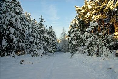 《星空》比B社之前RPG作品更硬核 有外星种族存在